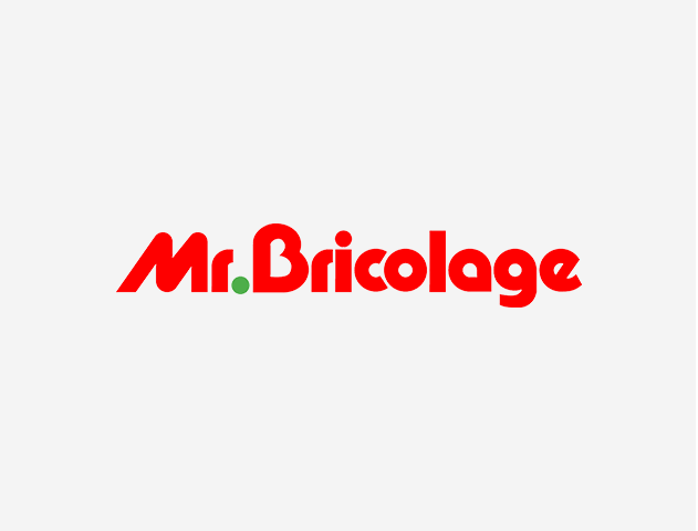Logo-Mr-bricolage-HP-3