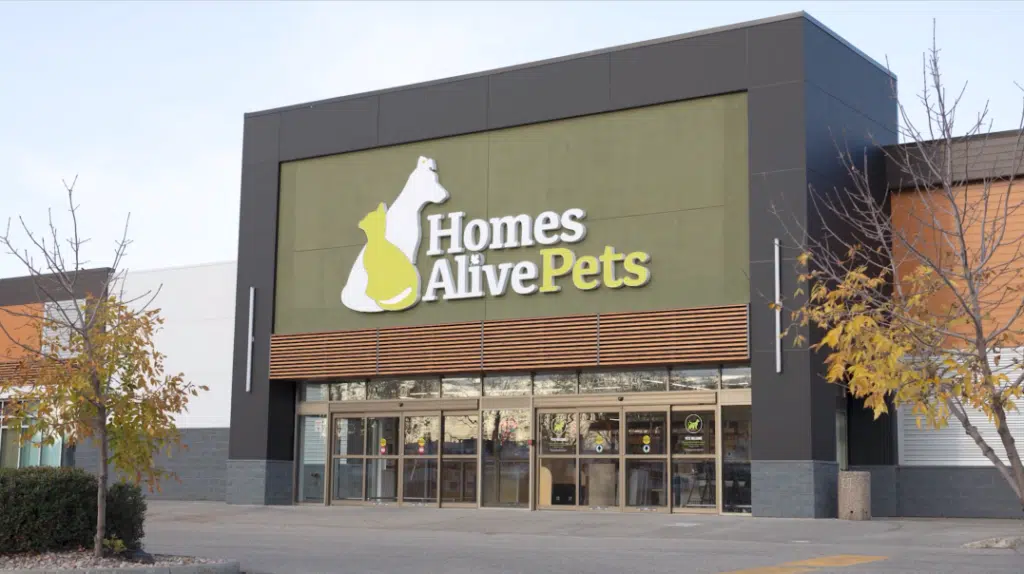 Homes Alive Pets x VusionGroup