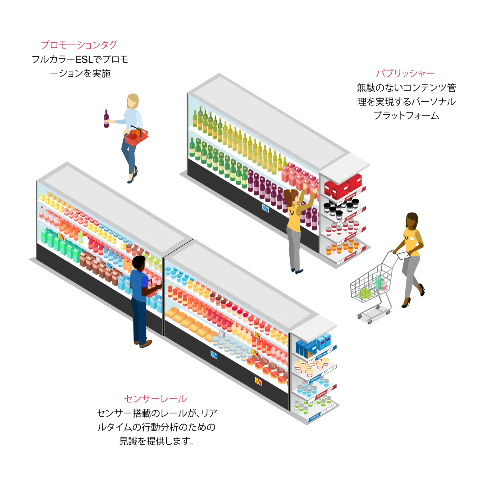 JAP engage and sesimagotag illustration